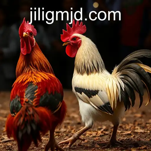 Exploring the Phenomenon of Online Sabong and the Role of jiligm